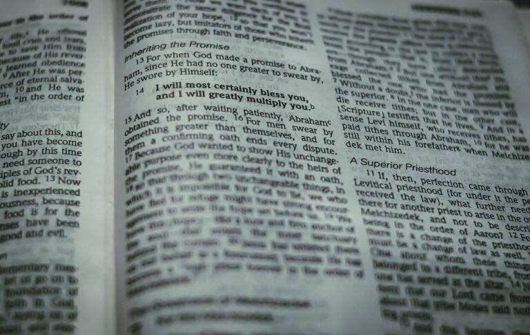 bible, bible verse, page, bible reading, hebrews, scripture, christianity, faith, religion, spirituality, closeup, bible, bible verse, bible verse, bible verse, bible verse, bible verse, hebrews, hebrews, hebrews, scripture